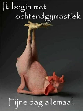 ochtend gymastiek.j…